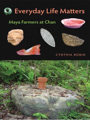 cover image of Everyday Life Matters
